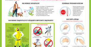 Клещевой вирусный энцефалит: меры профилактики